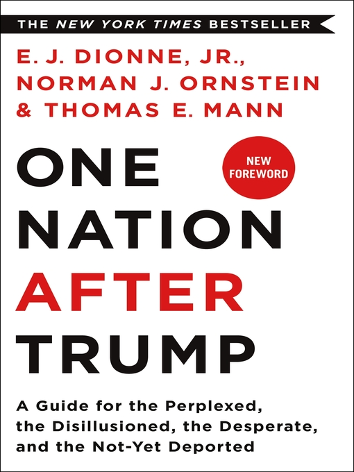 Title details for One Nation After Trump by E.J. Dionne, Jr. - Wait list